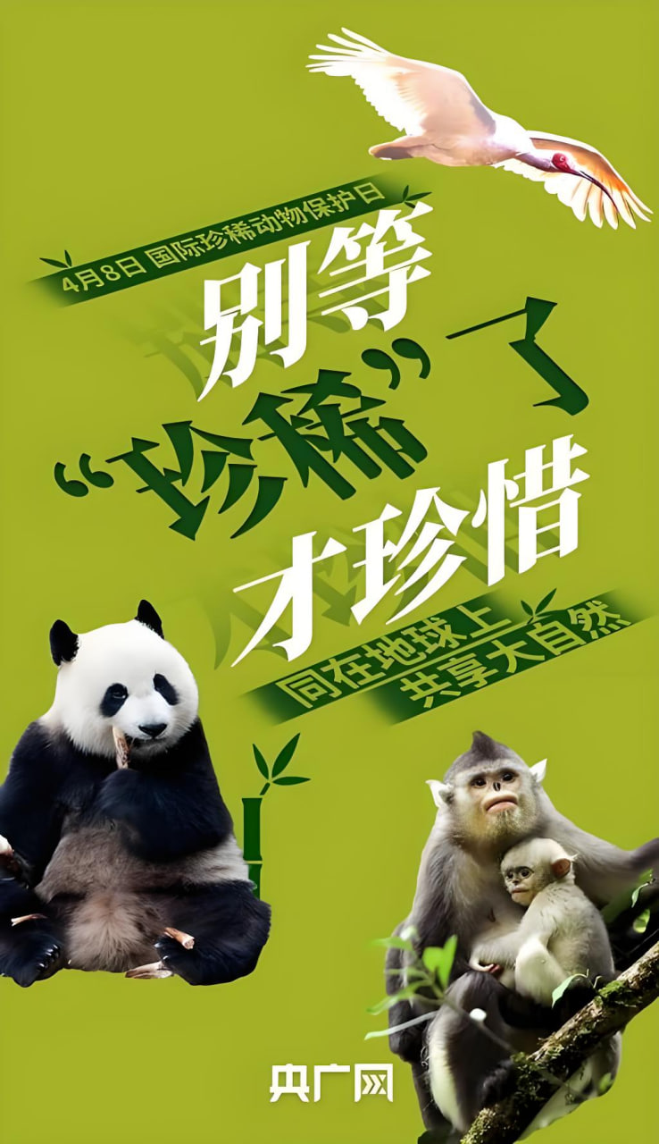 电影名称9